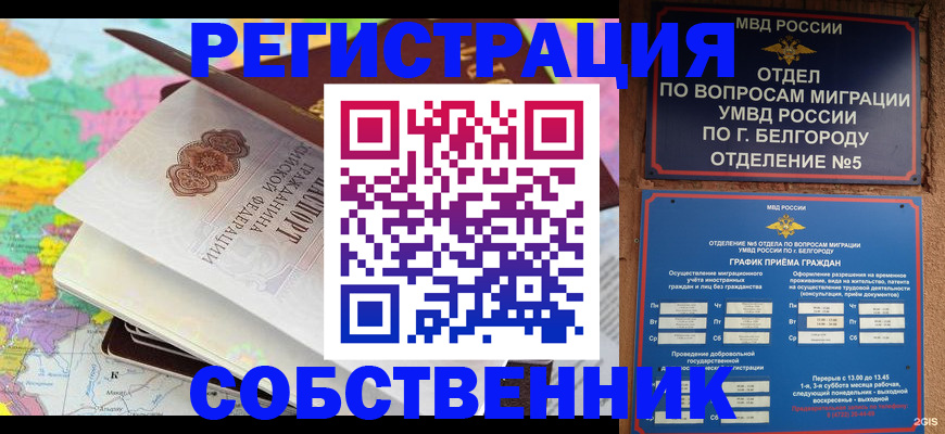 временная регистрация гарантия в Курчатове